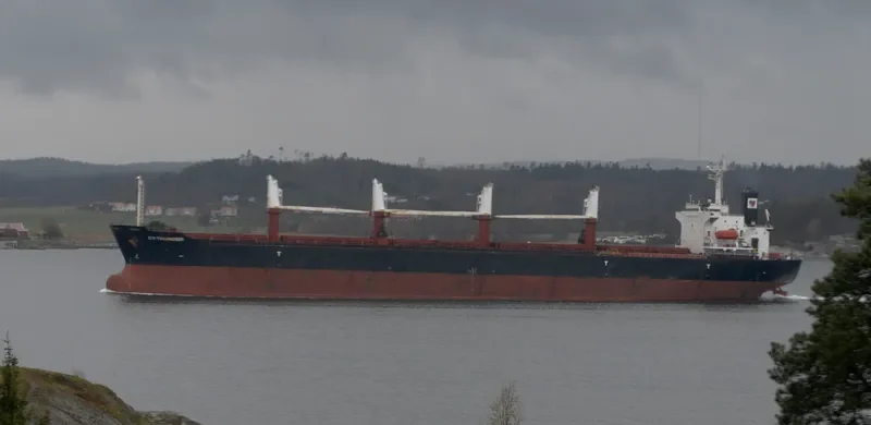 ALBY STORY Bulk Carrier IMO 9104603 photo 3