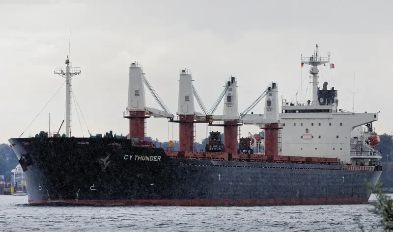 ALBY STORY Bulk Carrier IMO 9104603 photo 7