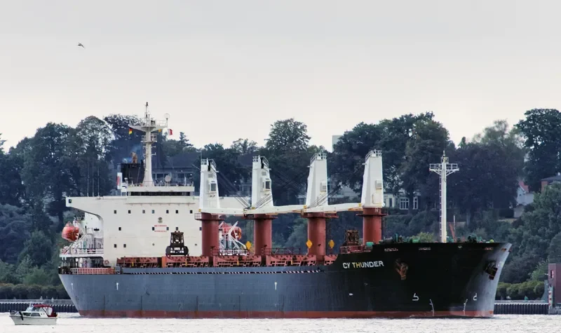 ALBY STORY Bulk Carrier IMO 9104603 photo 8