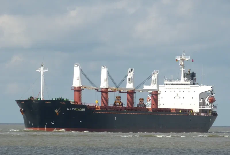 ALBY STORY Bulk Carrier IMO 9104603 photo 10