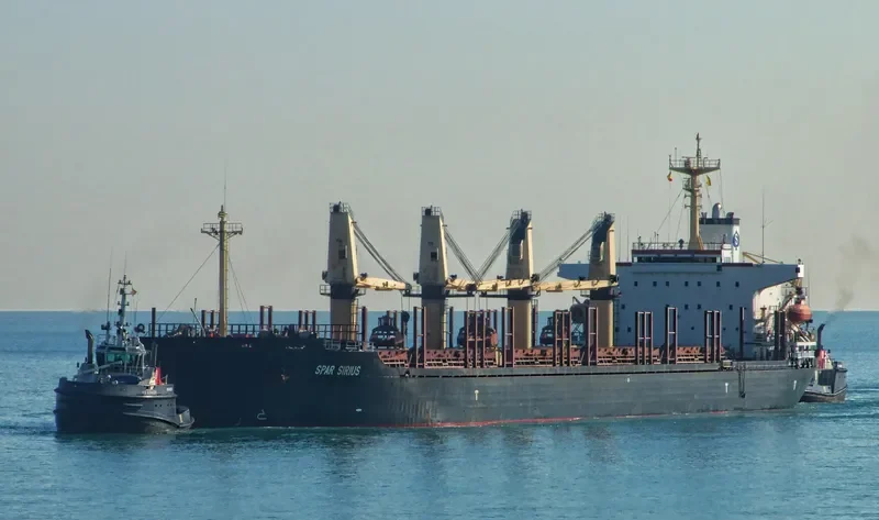 SPAR SIRIUS Bulk Carrier IMO 9104615