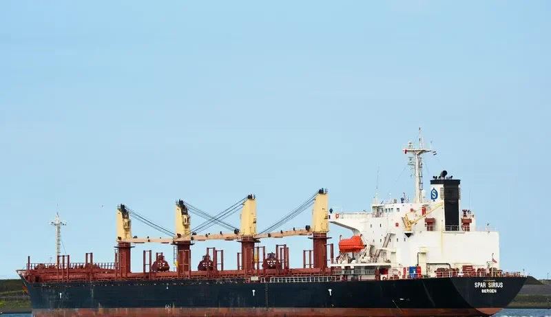 SPAR SIRIUS Bulk Carrier IMO 9104615 photo 4