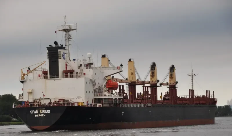 SPAR SIRIUS Bulk Carrier IMO 9104615 photo 7
