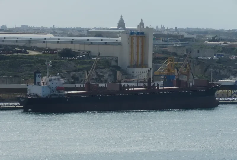 SPAR SIRIUS Bulk Carrier IMO 9104615 photo 9