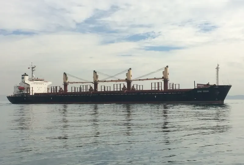 SPAR SIRIUS Bulk Carrier IMO 9104615 photo 10