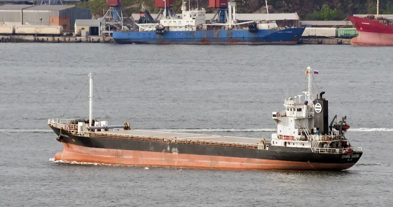 CHANG SHENG General Cargo IMO 9104653 photo 2