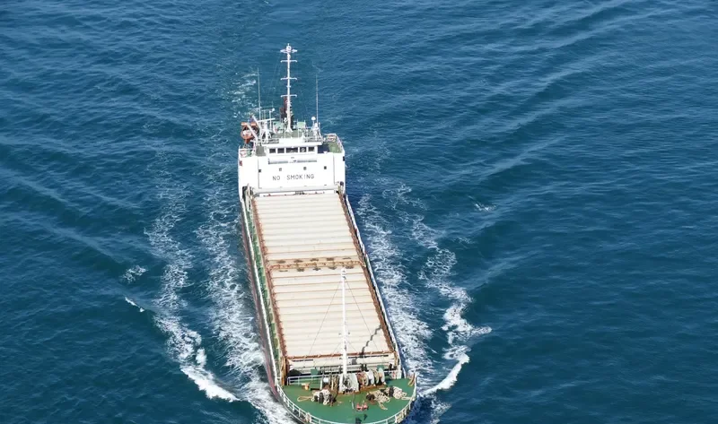JINHUA 11 General Cargo IMO 9104665 photo 3