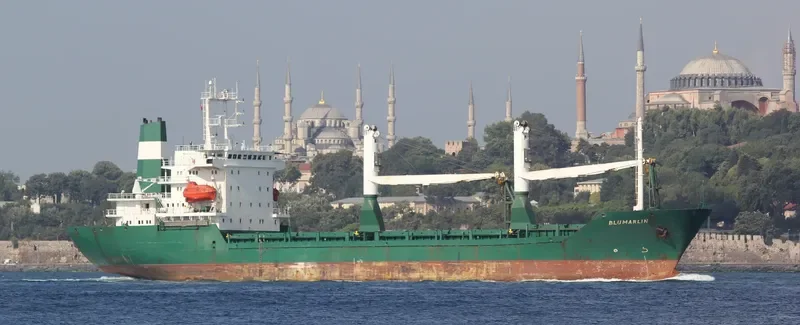 MORAZ General Cargo IMO 9104809 photo 8