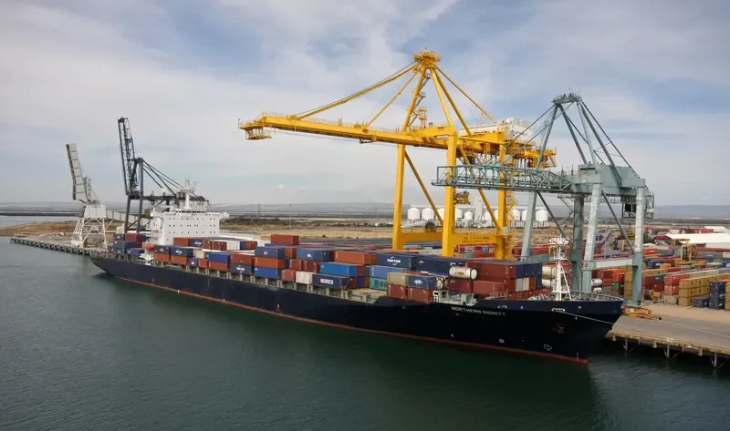 C WIND Container Ship IMO 9104897 photo 3