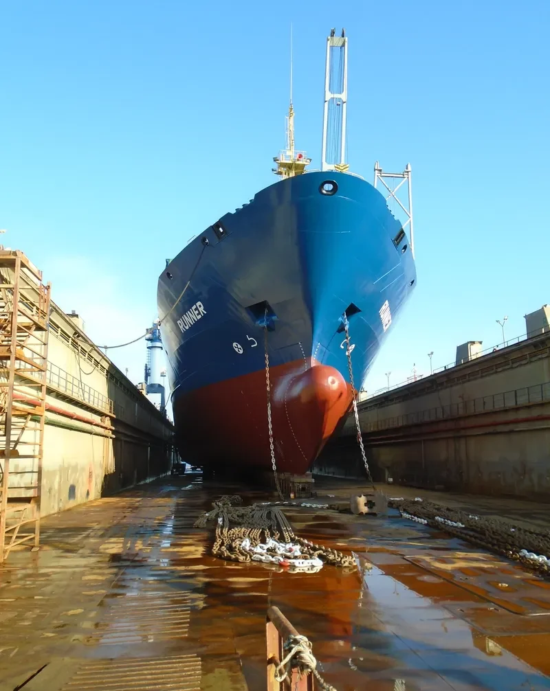 RUNNER Container Ship IMO 9105009 photo 4