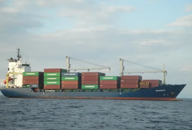 RUNNER Container Ship IMO 9105009 photo 5