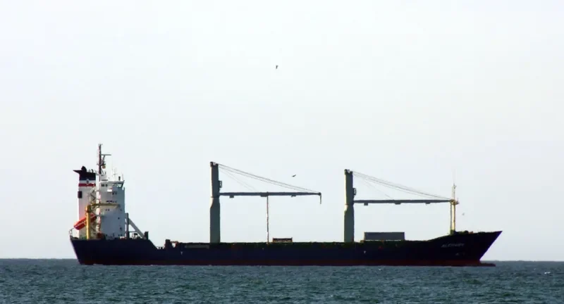 RUNNER Container Ship IMO 9105009 photo 8