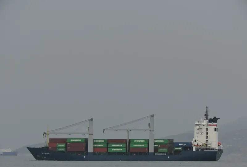 RUNNER Container Ship IMO 9105009 photo 10