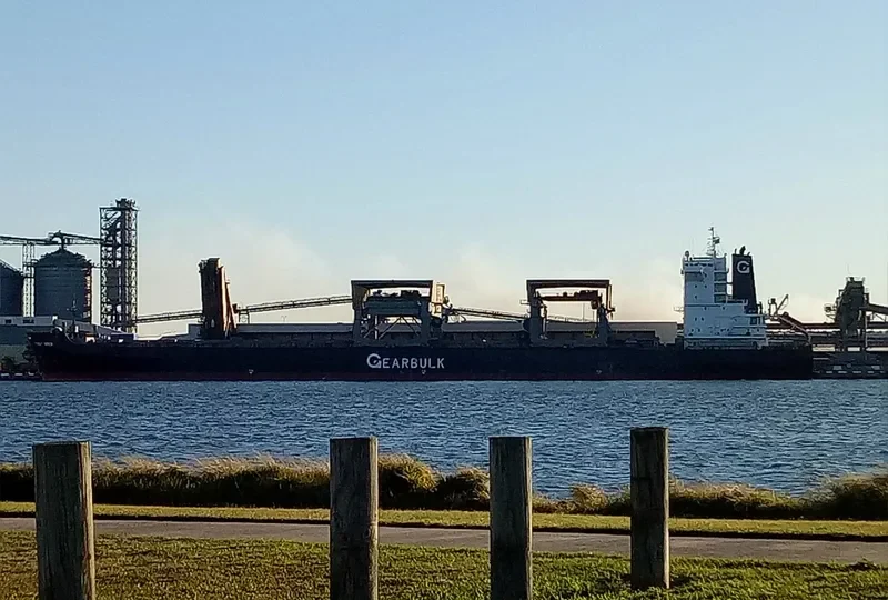 CONAKRY PEARL General Cargo IMO 9105023 photo 2