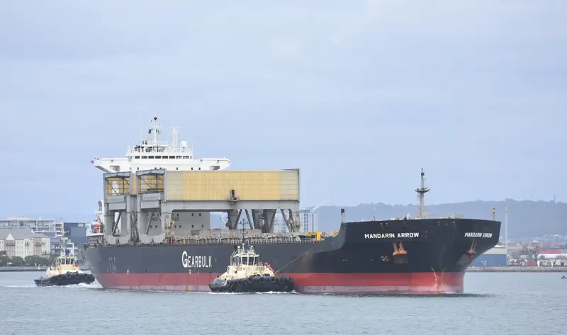 MANDARIN ARROW General Cargo IMO 9105035 photo 5