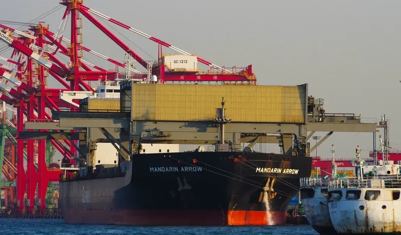 MANDARIN ARROW General Cargo IMO 9105035 photo 6