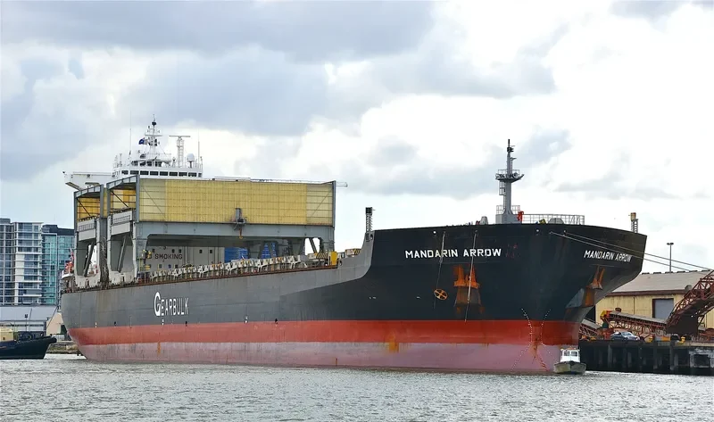 MANDARIN ARROW General Cargo IMO 9105035 photo 7