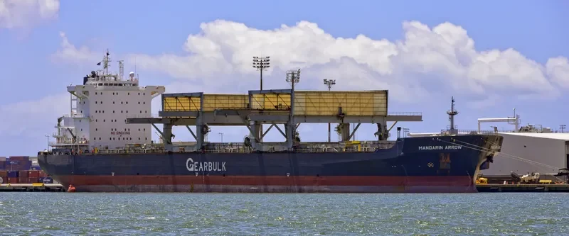 MANDARIN ARROW General Cargo IMO 9105035 photo 8