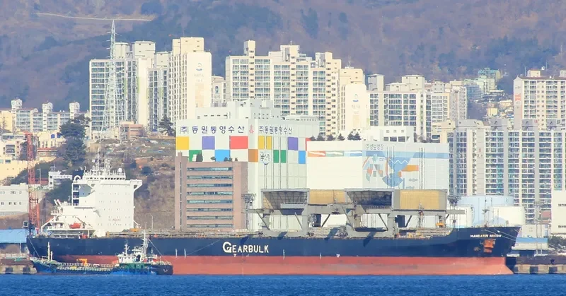 MANDARIN ARROW General Cargo IMO 9105035 photo 10