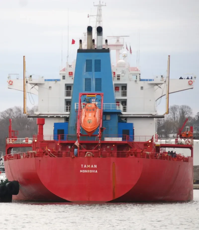 TESSALINA Tanker IMO 9105061 photo 6