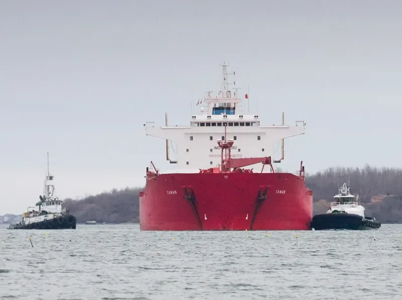 TESSALINA Tanker IMO 9105061 photo 9