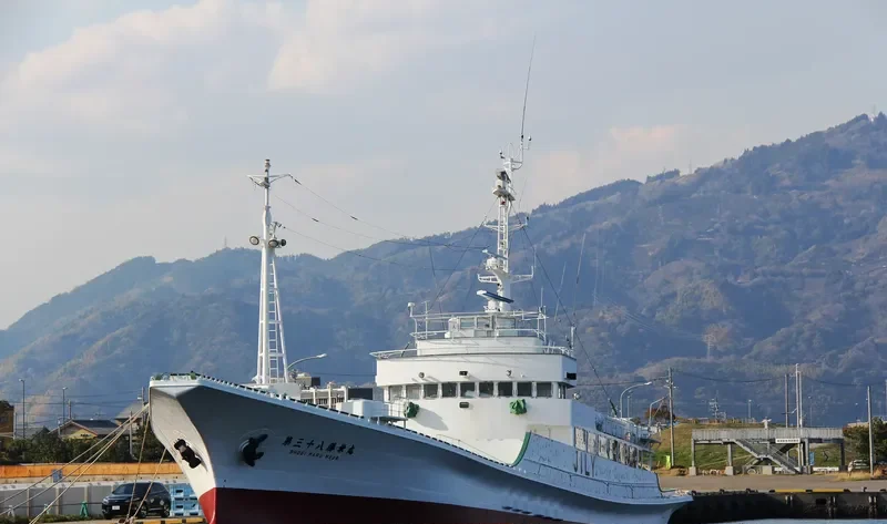SHOEI MARU NO.38 General Cargo IMO 9105164 photo 5