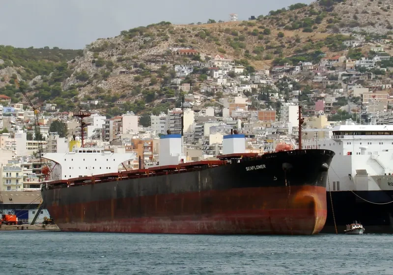 SEA LORD Bulk Carrier IMO 9105231 photo 3