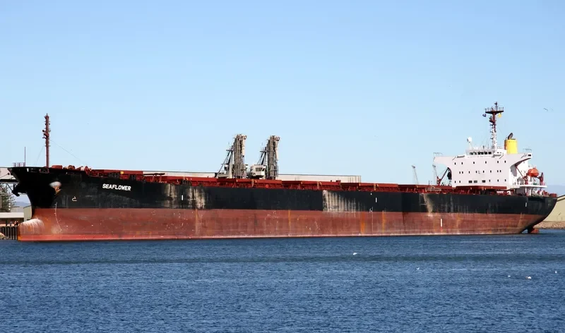 SEA LORD Bulk Carrier IMO 9105231 photo 4