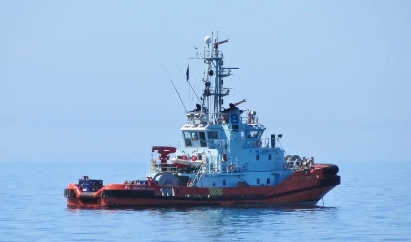 SL GIBSON General Cargo IMO 9105267 photo 2
