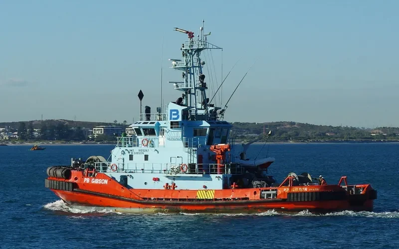 SL GIBSON General Cargo IMO 9105267 photo 3