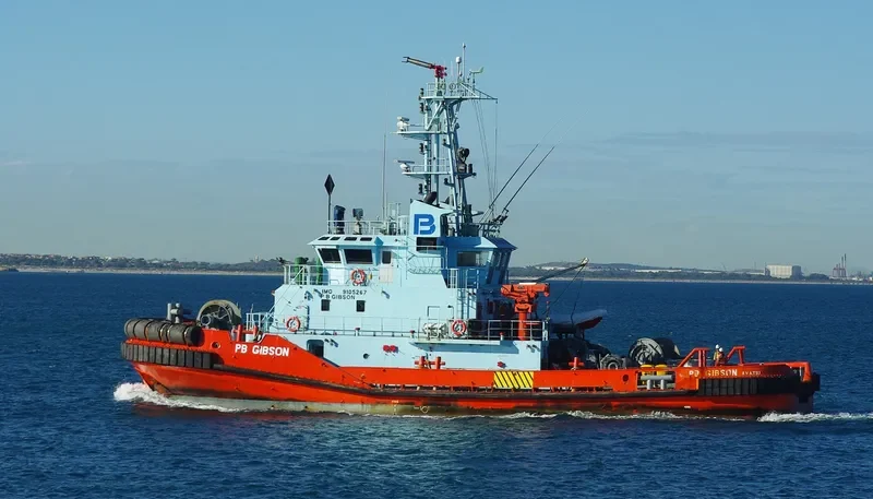SL GIBSON General Cargo IMO 9105267 photo 4