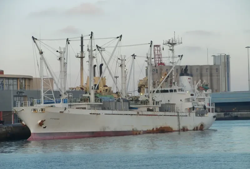 FUTAGAMI General Cargo IMO 9105293 photo 7