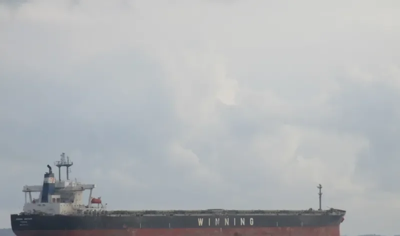 WINNING BROTHER Bulk Carrier IMO 9105322
