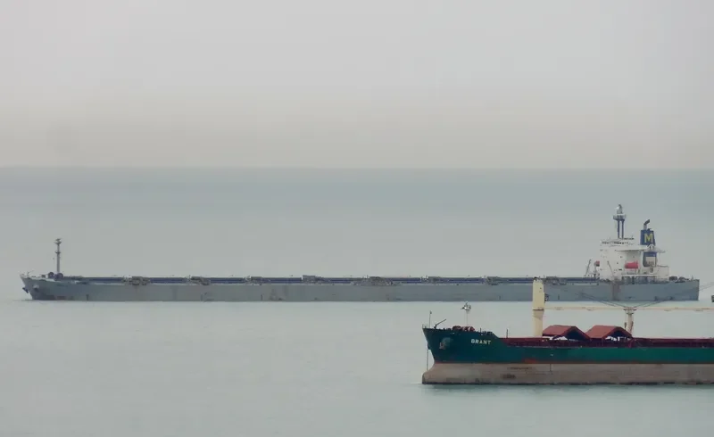 WINNING BROTHER Bulk Carrier IMO 9105322 photo 3