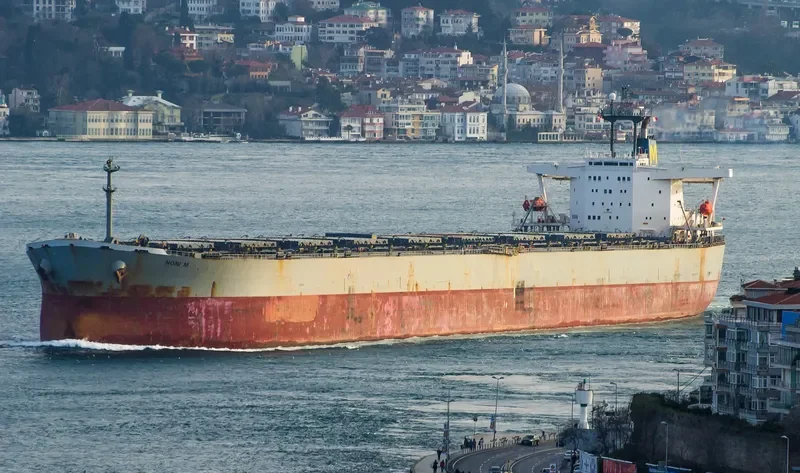 WINNING BROTHER Bulk Carrier IMO 9105322 photo 4