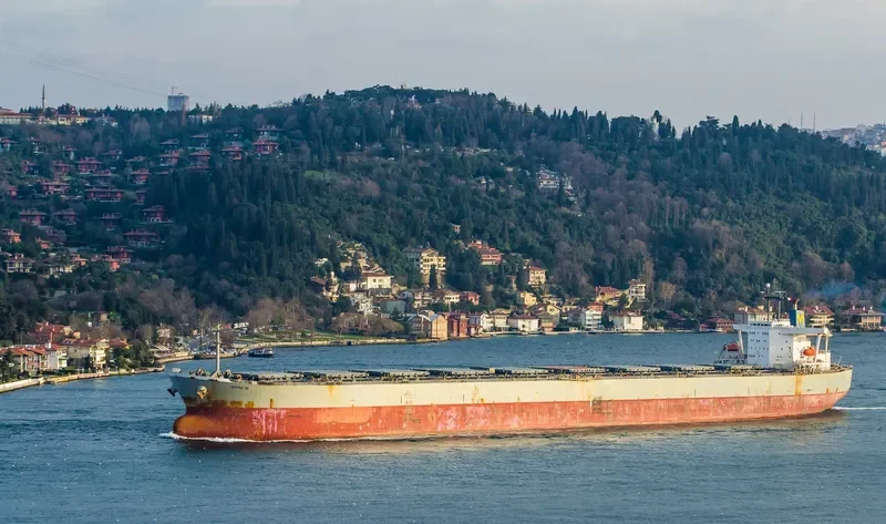 WINNING BROTHER Bulk Carrier IMO 9105322 photo 5