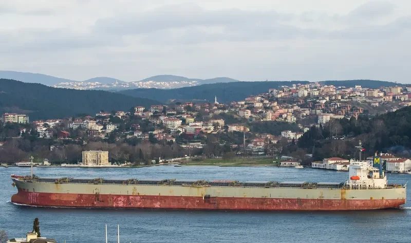 WINNING BROTHER Bulk Carrier IMO 9105322 photo 6