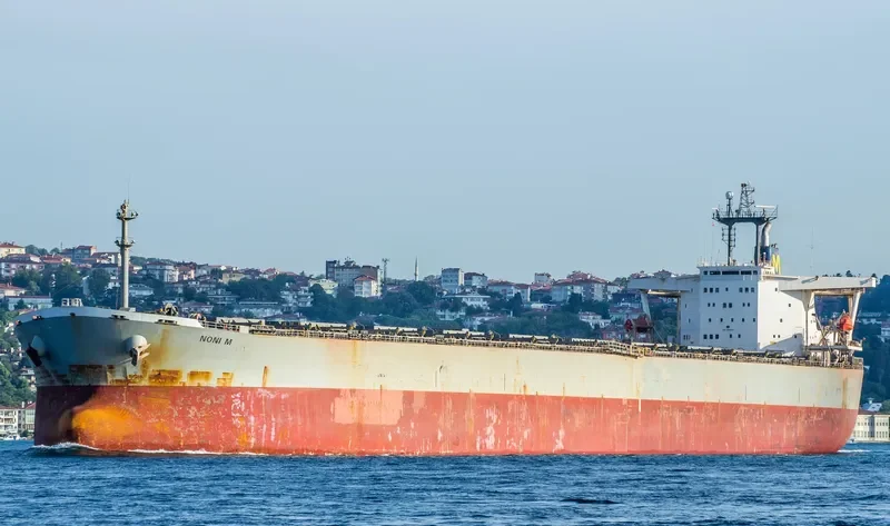 WINNING BROTHER Bulk Carrier IMO 9105322 photo 7