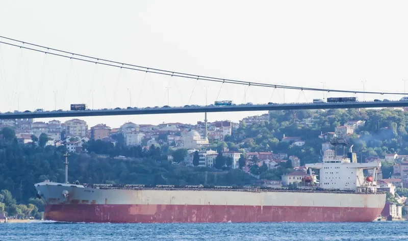 WINNING BROTHER Bulk Carrier IMO 9105322 photo 8