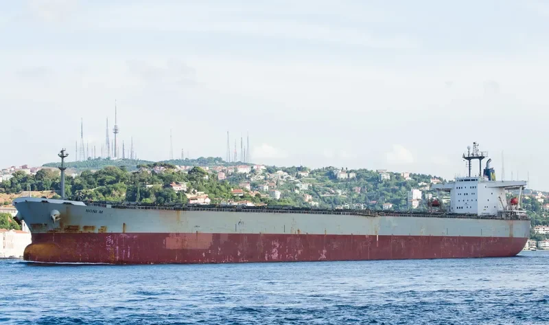 WINNING BROTHER Bulk Carrier IMO 9105322 photo 9