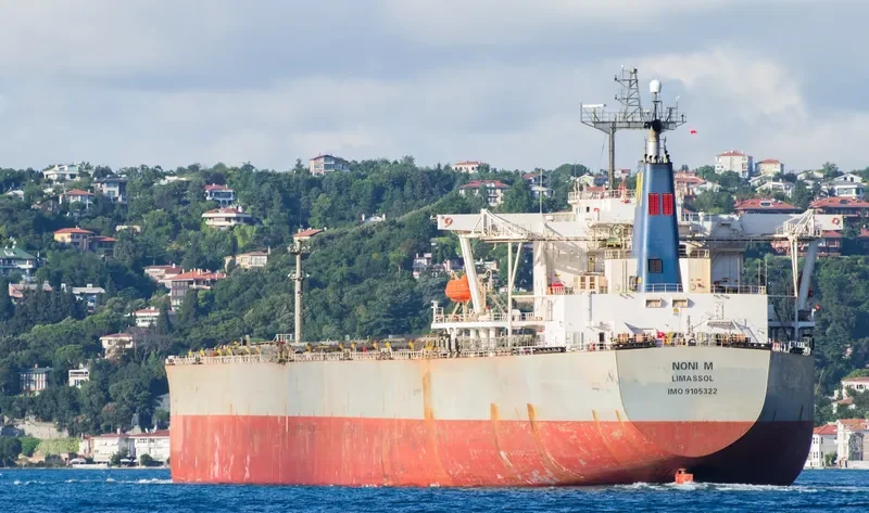 WINNING BROTHER Bulk Carrier IMO 9105322 photo 10