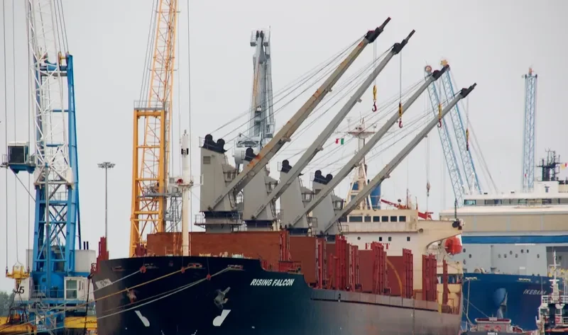 RISING FALCON Bulk Carrier IMO 9105396