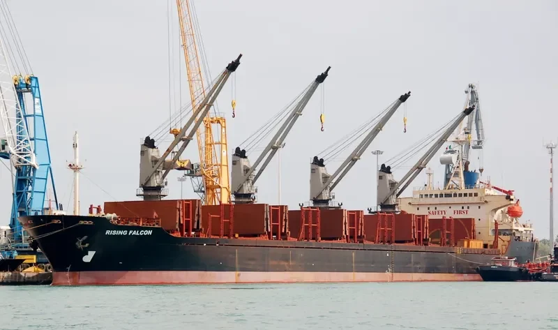 RISING FALCON Bulk Carrier IMO 9105396 photo 2
