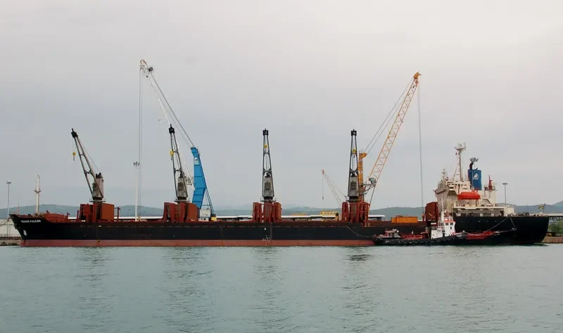 RISING FALCON Bulk Carrier IMO 9105396 photo 3