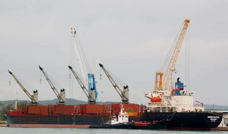 RISING FALCON Bulk Carrier IMO 9105396 photo 4