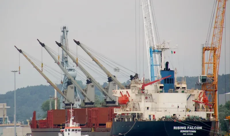 RISING FALCON Bulk Carrier IMO 9105396 photo 5