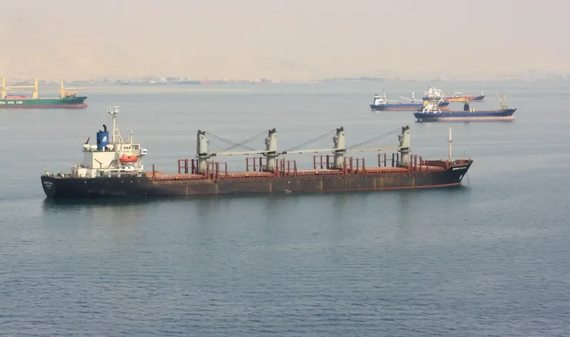 RISING FALCON Bulk Carrier IMO 9105396 photo 6