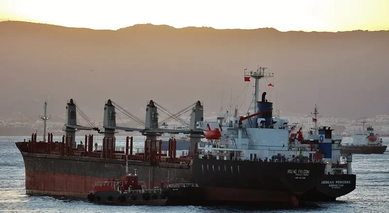 RISING FALCON Bulk Carrier IMO 9105396 photo 7