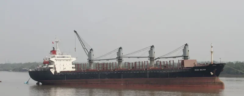 RISING FALCON Bulk Carrier IMO 9105396 photo 8