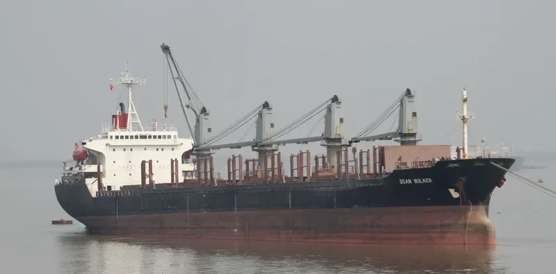 RISING FALCON Bulk Carrier IMO 9105396 photo 9